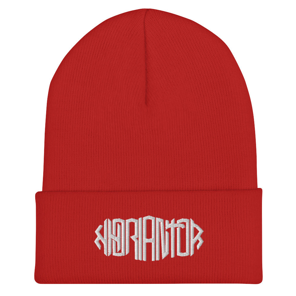 Beanie - Gorrito Unisex